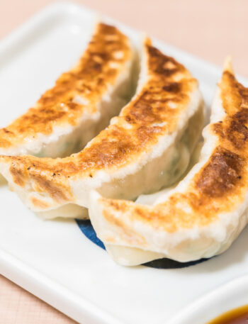 fried dumplings chicken gyoza recipe