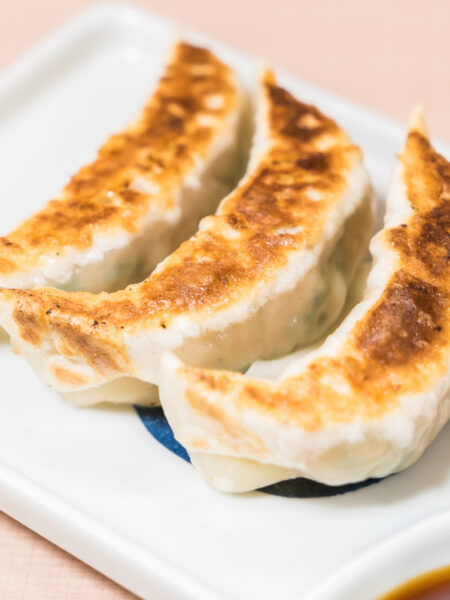 fried dumplings chicken gyoza recipe