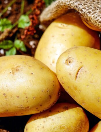 potatoes, vegetable, food, harvest, potato sack, root vegetable, edible, produce, organic, natural, potatoes, potatoes, potatoes, potatoes, potatoes, vegetable