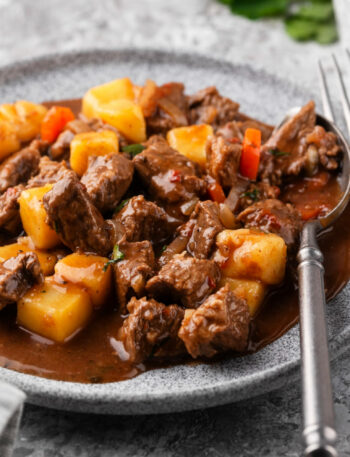 beef stew, japanese foods