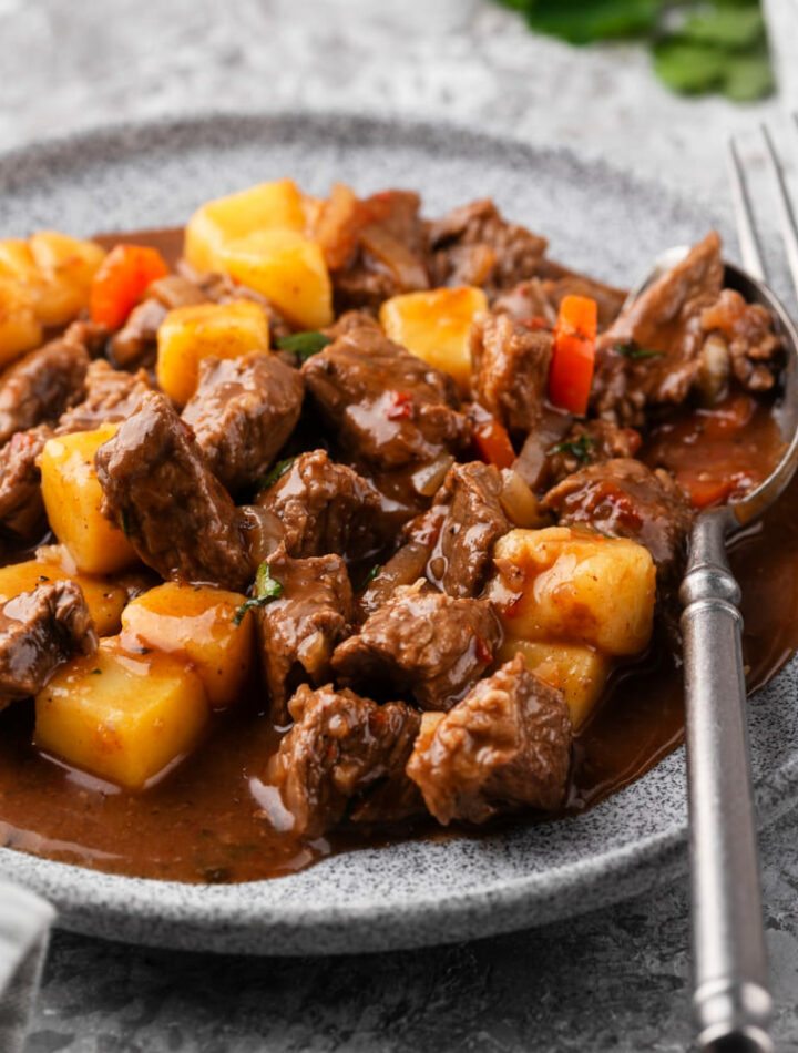 beef stew, japanese foods